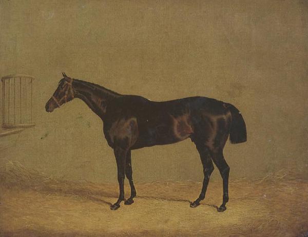 John Frederick Herring The Racehorse 'Mulatto' in A Stall oil painting image